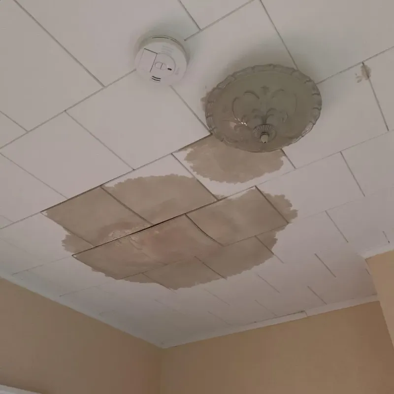 Ceiling Water Damage Repair in West Terre Haute, IN