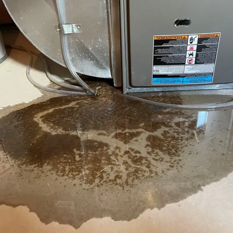 Pipe Burst and Leak Restoration in West Terre Haute, IN