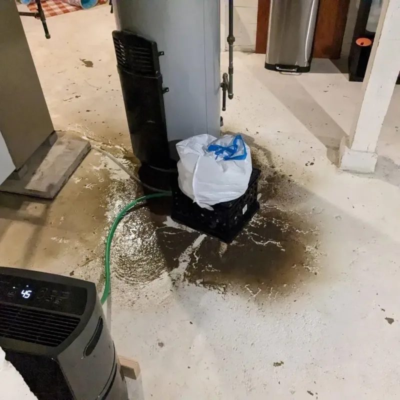 Sewage Backup Cleanup Service in West Terre Haute, IN
